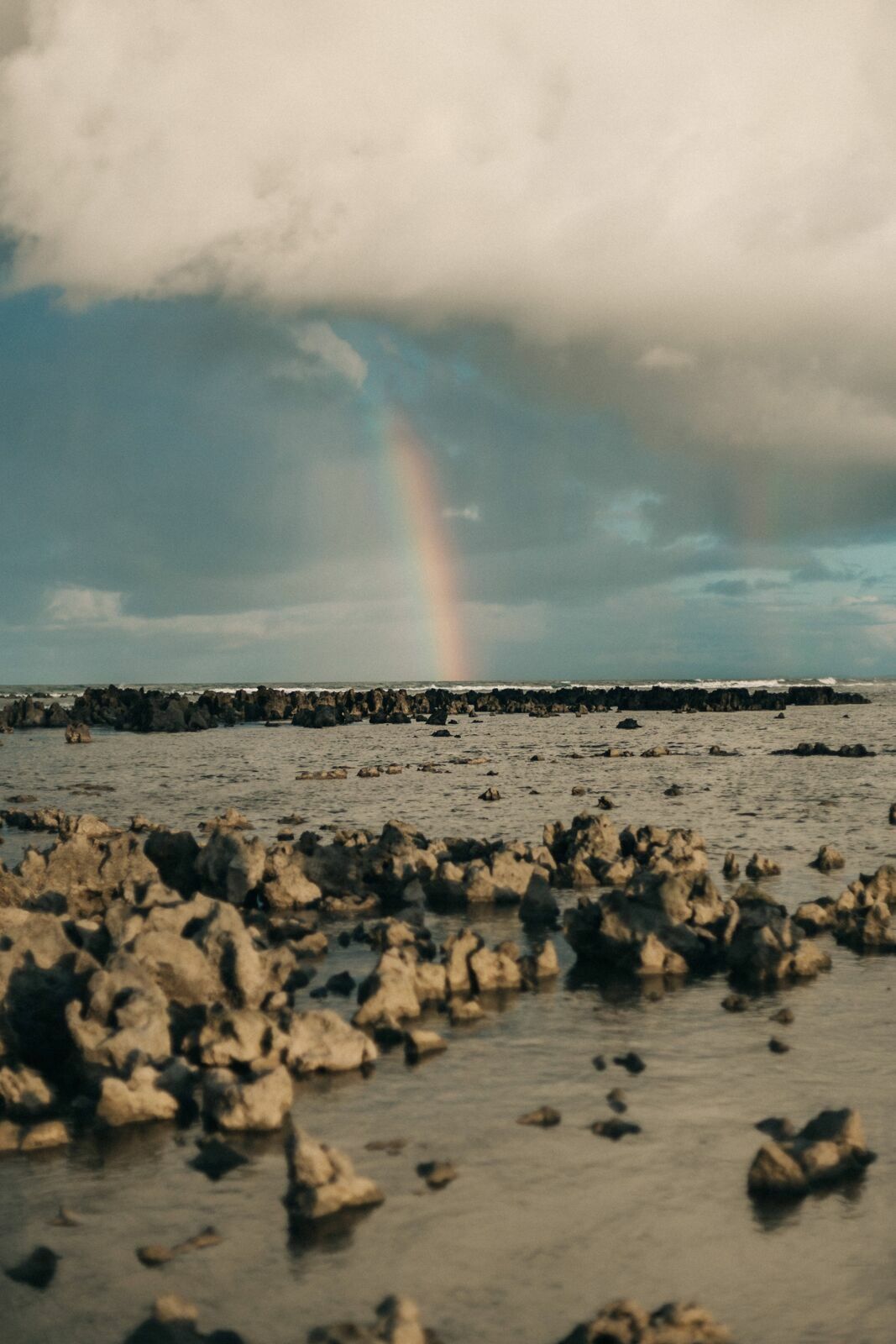 Foto Maíra e Nicholas  - Imagem 29