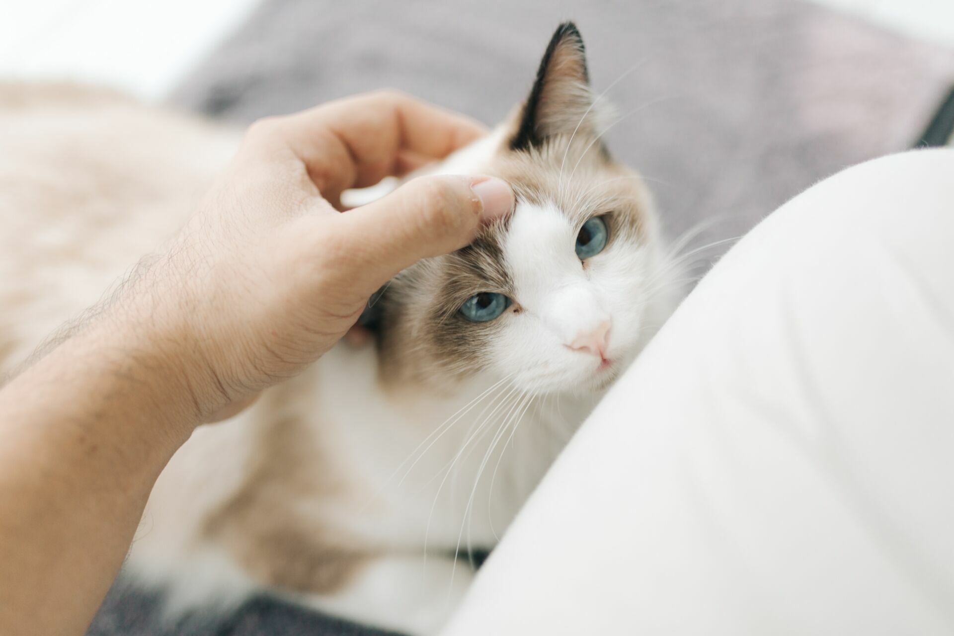 Foto Isaac & Juliana - Imagem 9