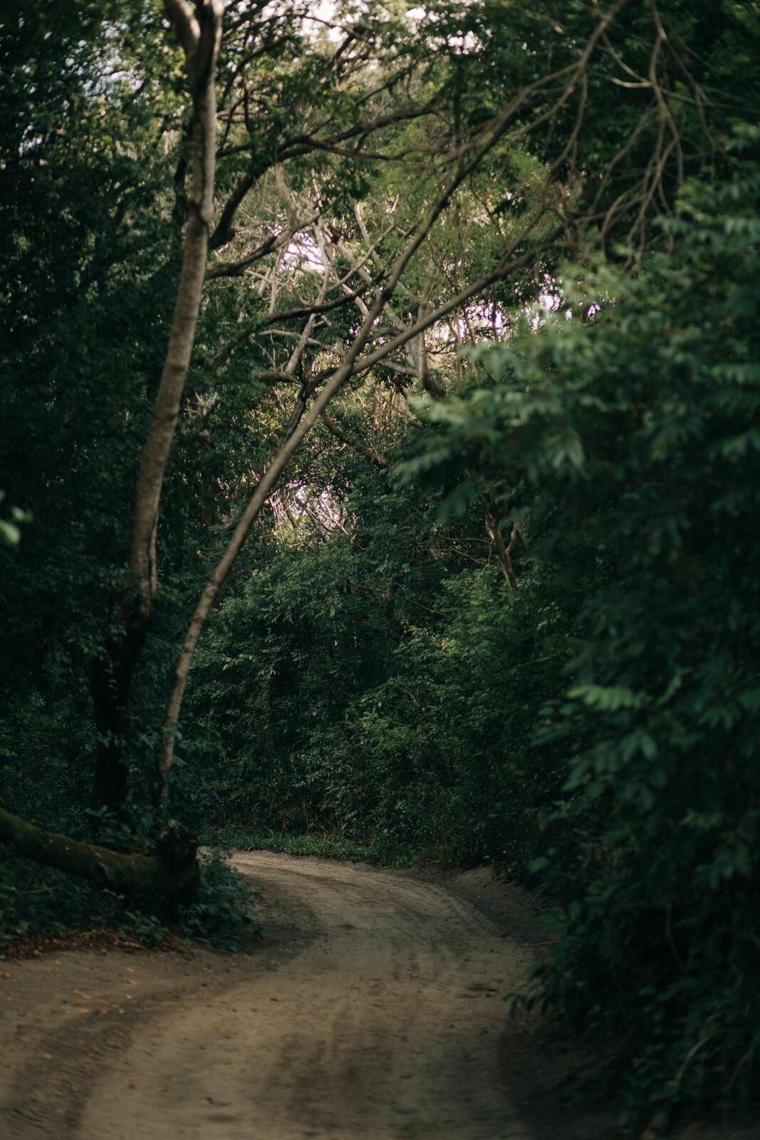 Foto Camilla e VIctor  - Imagem 1