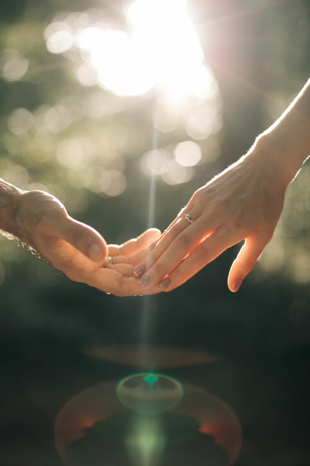 Foto Camilla e VIctor  - Imagem 8